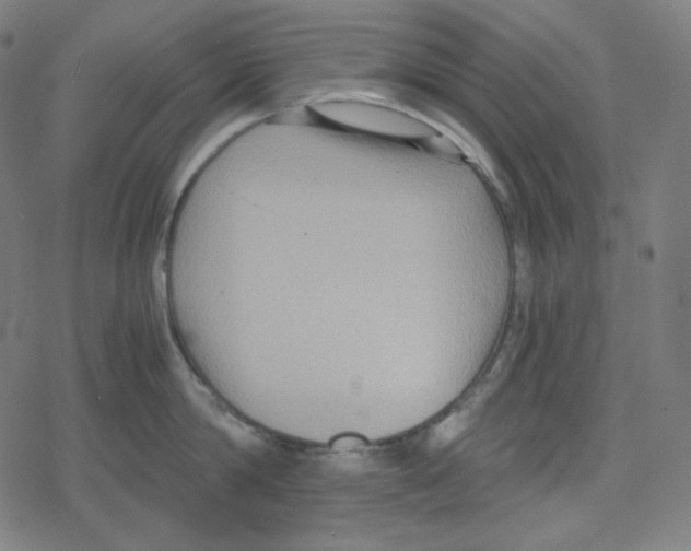 X0000078280814200612011743