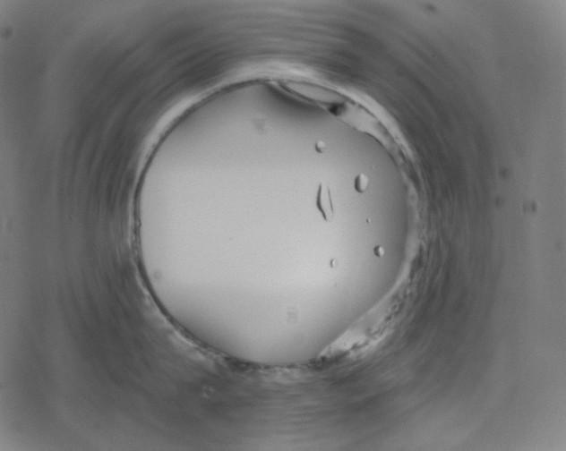 X0000078280815200612011742