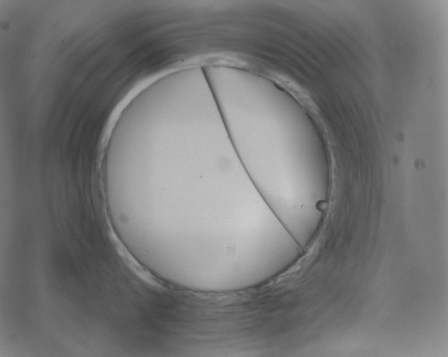 X0000078280816200612011742