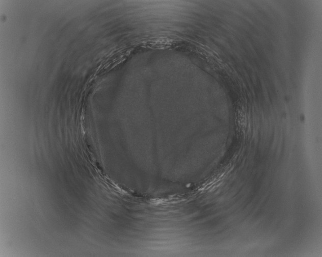 X0000078280818200612011742