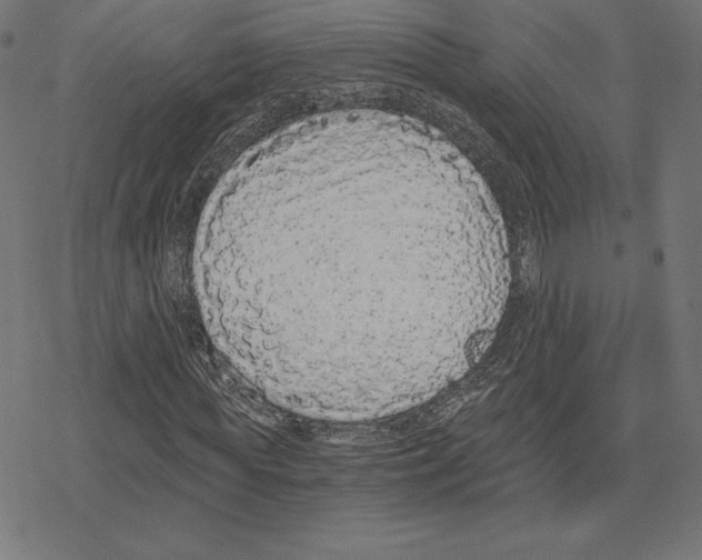 X0000078280819200612011742