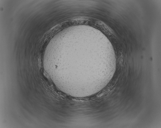 X0000078280821200612011742