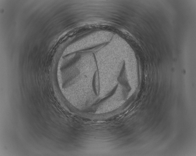 X0000078280822200612011742