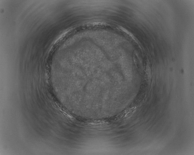 X0000078280823200612011742