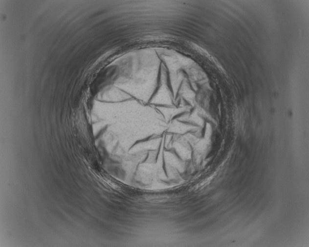 X0000078280825200612011742