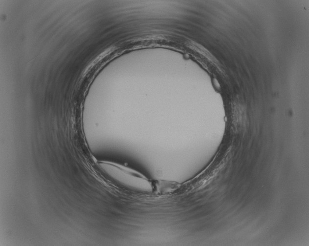 X0000078280826200612011742