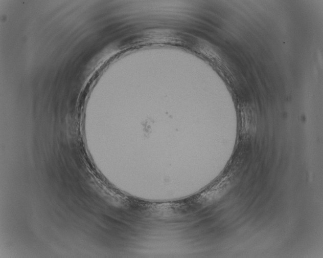 X0000078280828200612011742