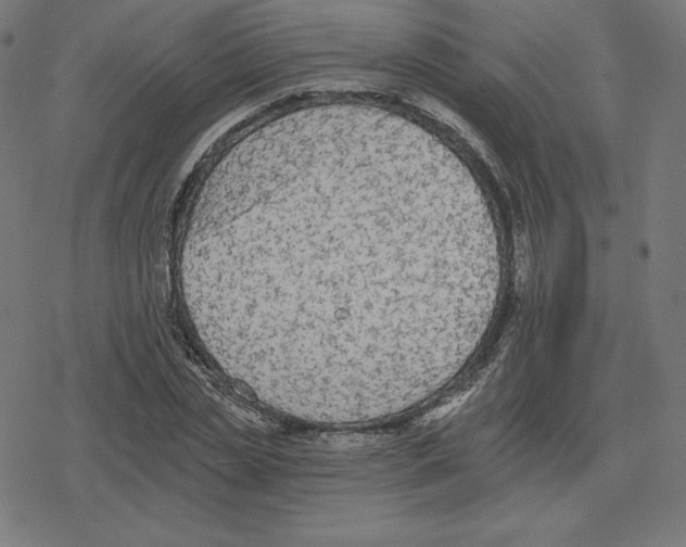 X0000078280829200612011742