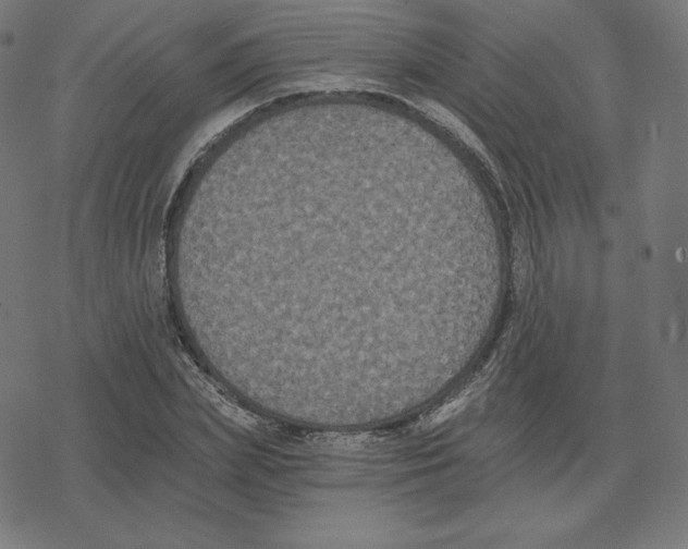 X0000078280831200612011742