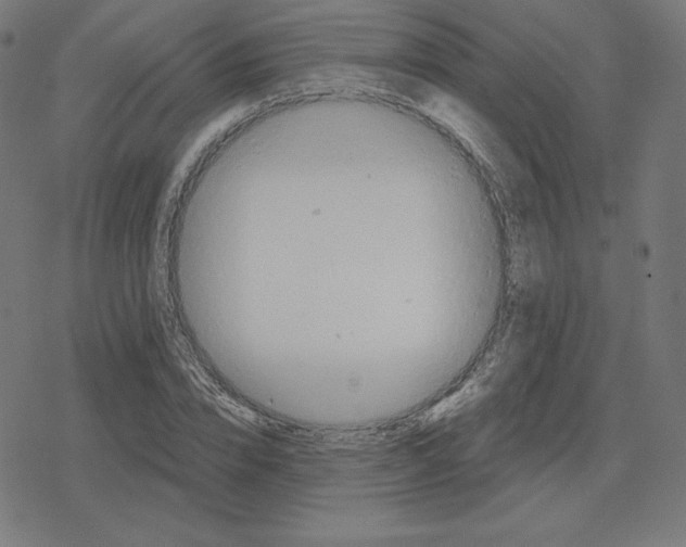 X0000078280832200612011742