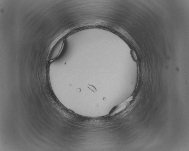 X0000078280834200612011742