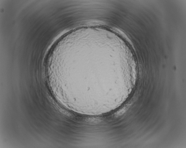 X0000078280835200612011742