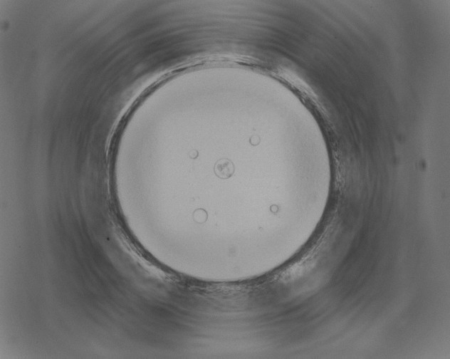 X0000078280836200612011742