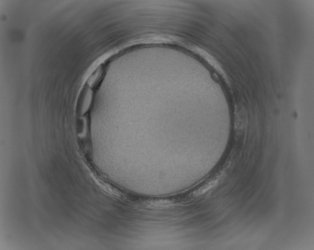 X0000078280837200612011742