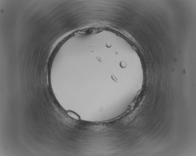 X0000078280838200612011742