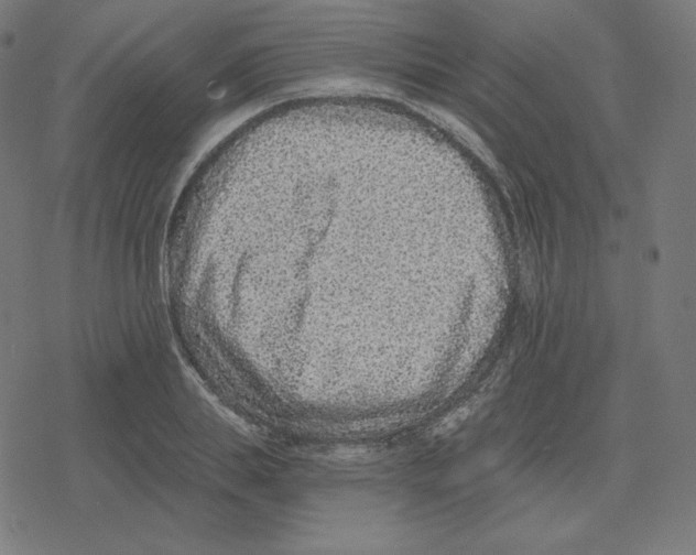 X0000078280839200612011742