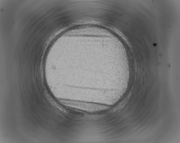 X0000078280840200612011742