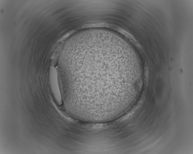 X0000078280841200612011742