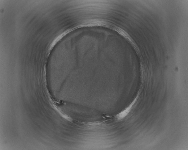 X0000078280842200612011742