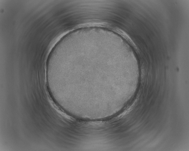 X0000078280844200612011742