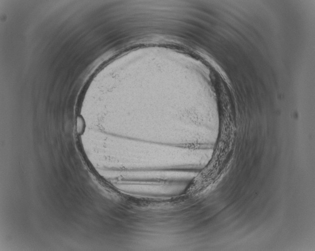 X0000078280845200612011742