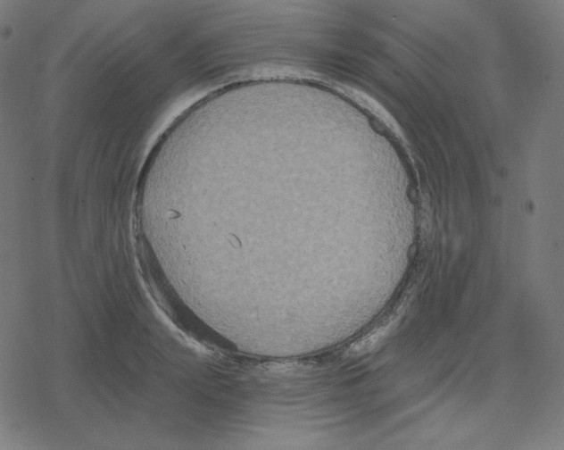 X0000078280847200612011742