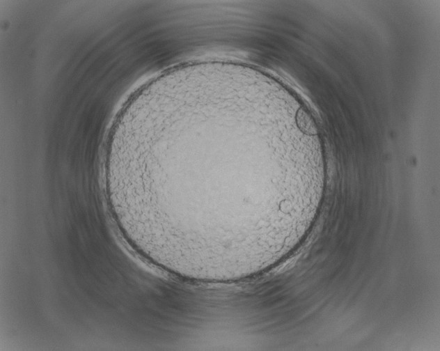 X0000078280848200612011742