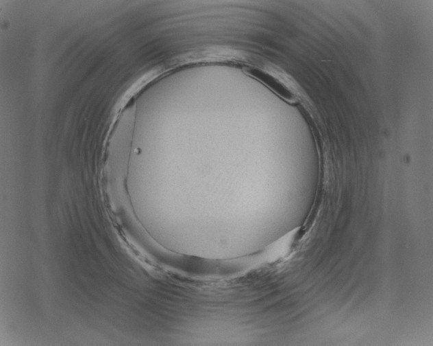 X0000078280850200612011742