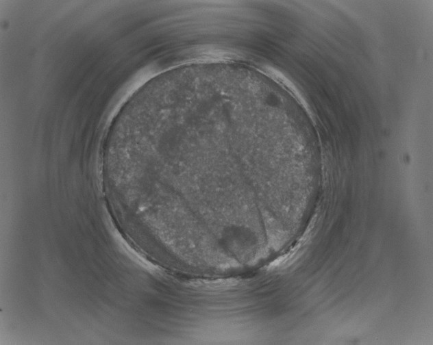 X0000078280851200612011742