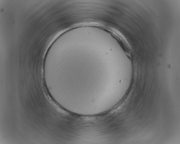 X0000078280852200612011742