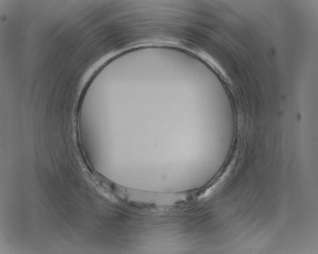 X0000078280854200612011742