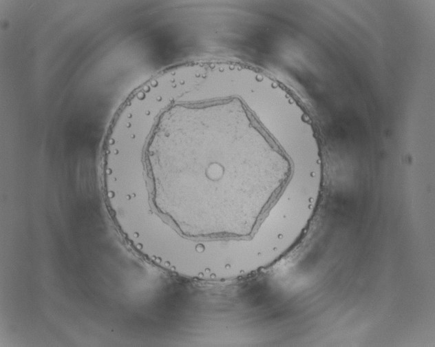 X0000078280856200612011742