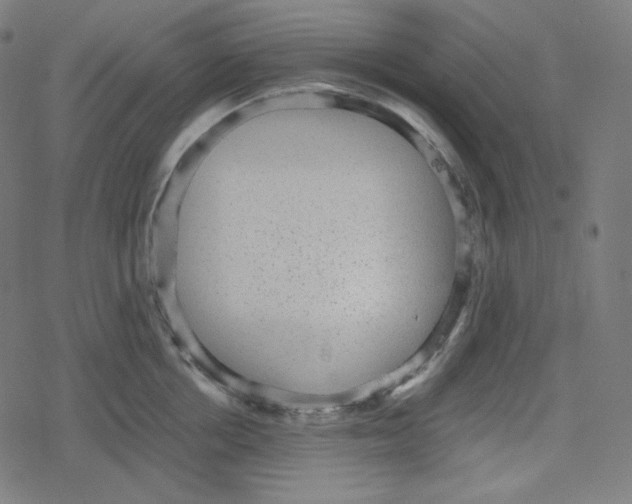 X0000078280858200612011742