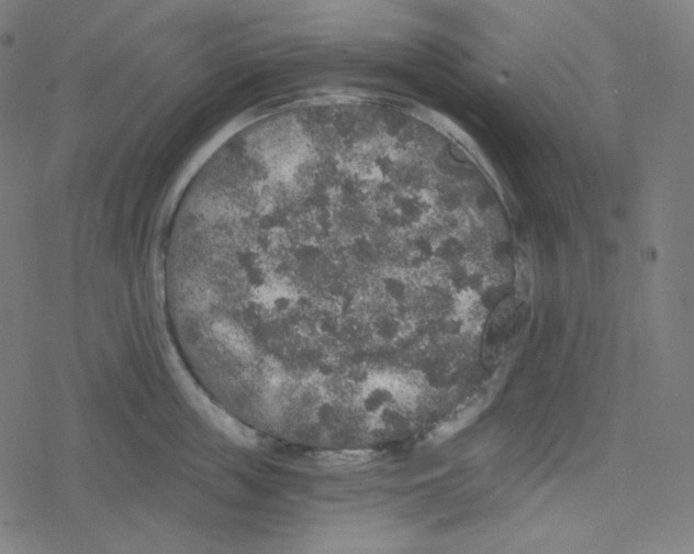 X0000078280859200612011742