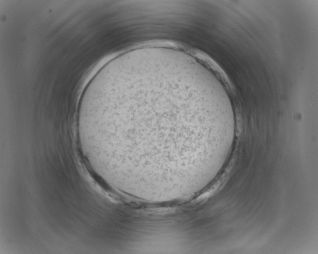 X0000078280860200612011742