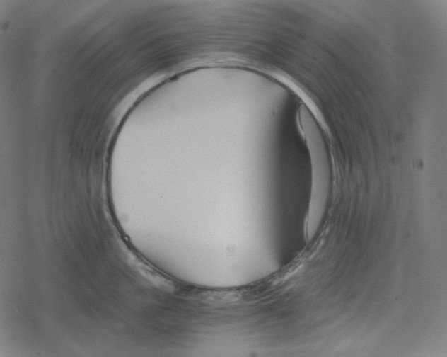 X0000078280861200612011742