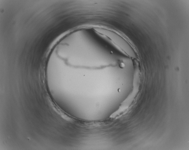 X0000078280862200612011742