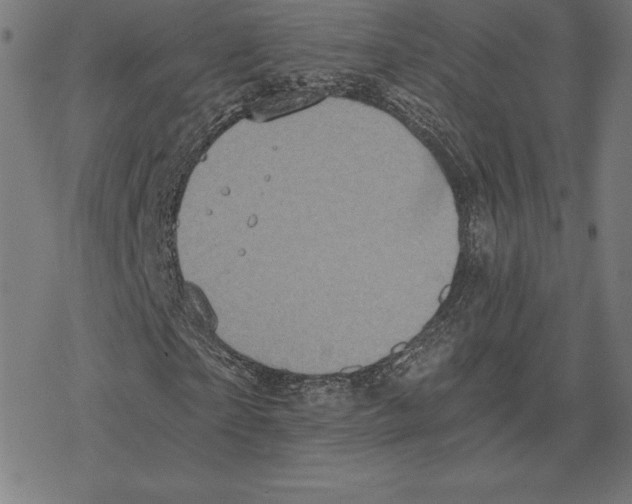 X0000078280865200612011742