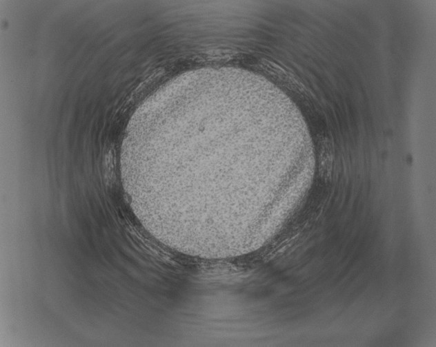 X0000078280866200612011742