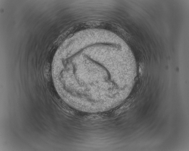 X0000078280867200612011742