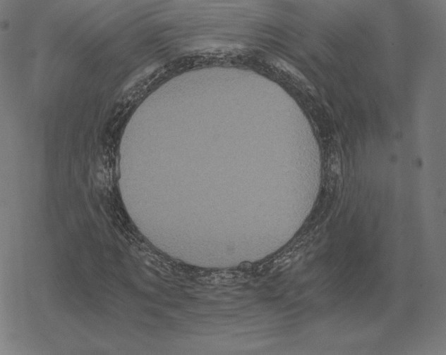 X0000078280869200612011742