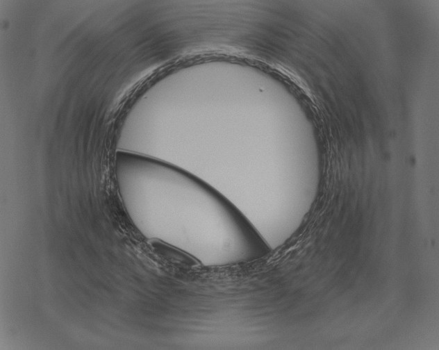 X0000078280872200612011742