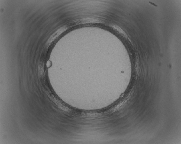 X0000078280873200612011742