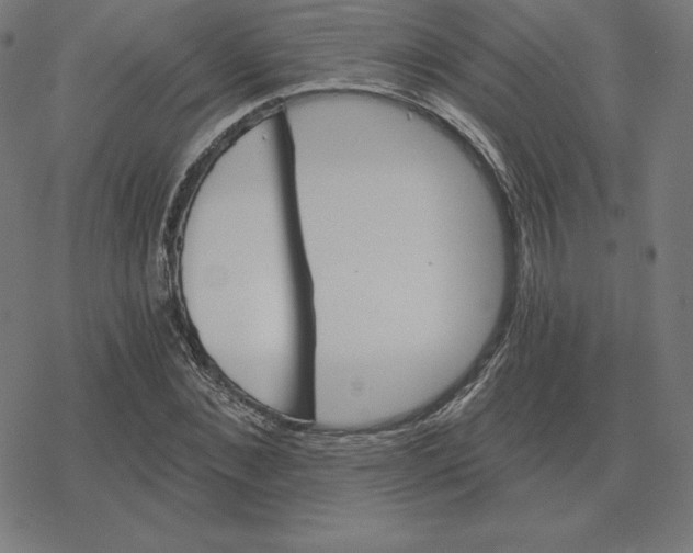 X0000078280876200612011742