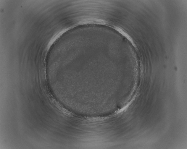 X0000078280877200612011741