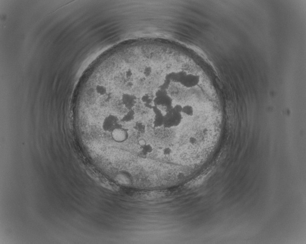 X0000078280879200612011741