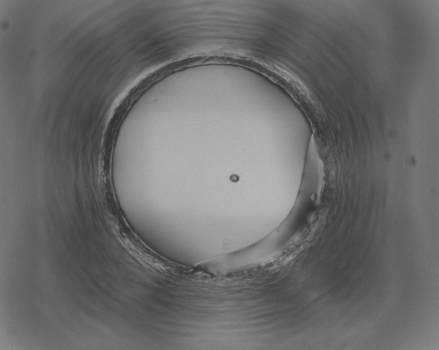 X0000078280880200612011741