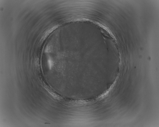 X0000078280881200612011741