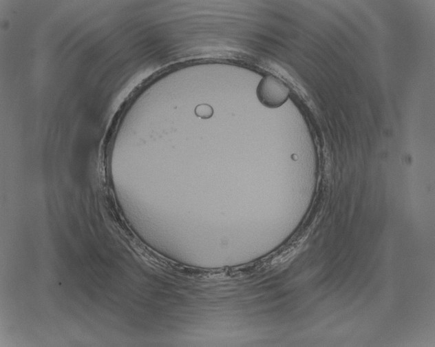 X0000078280883200612011741