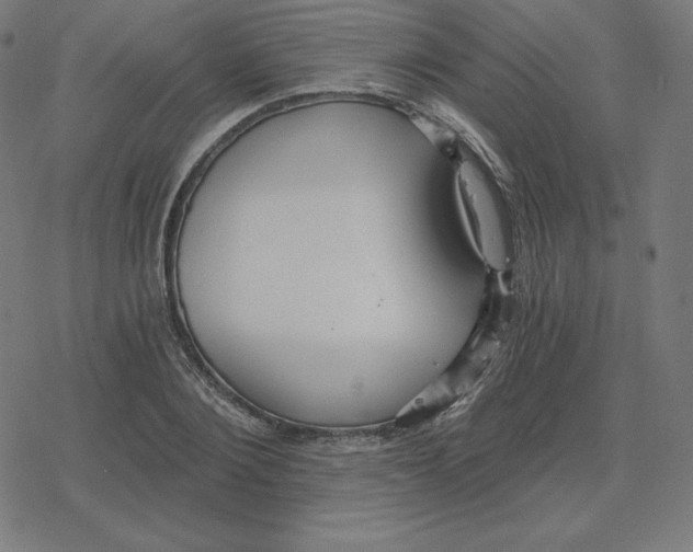 X0000078280884200612011741